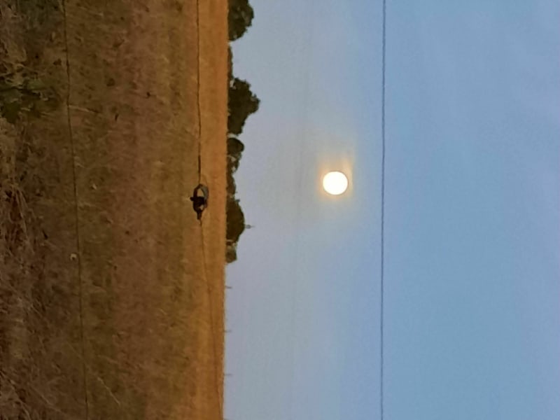 Balade en campagne - Charny-Orée-de-Puisaye