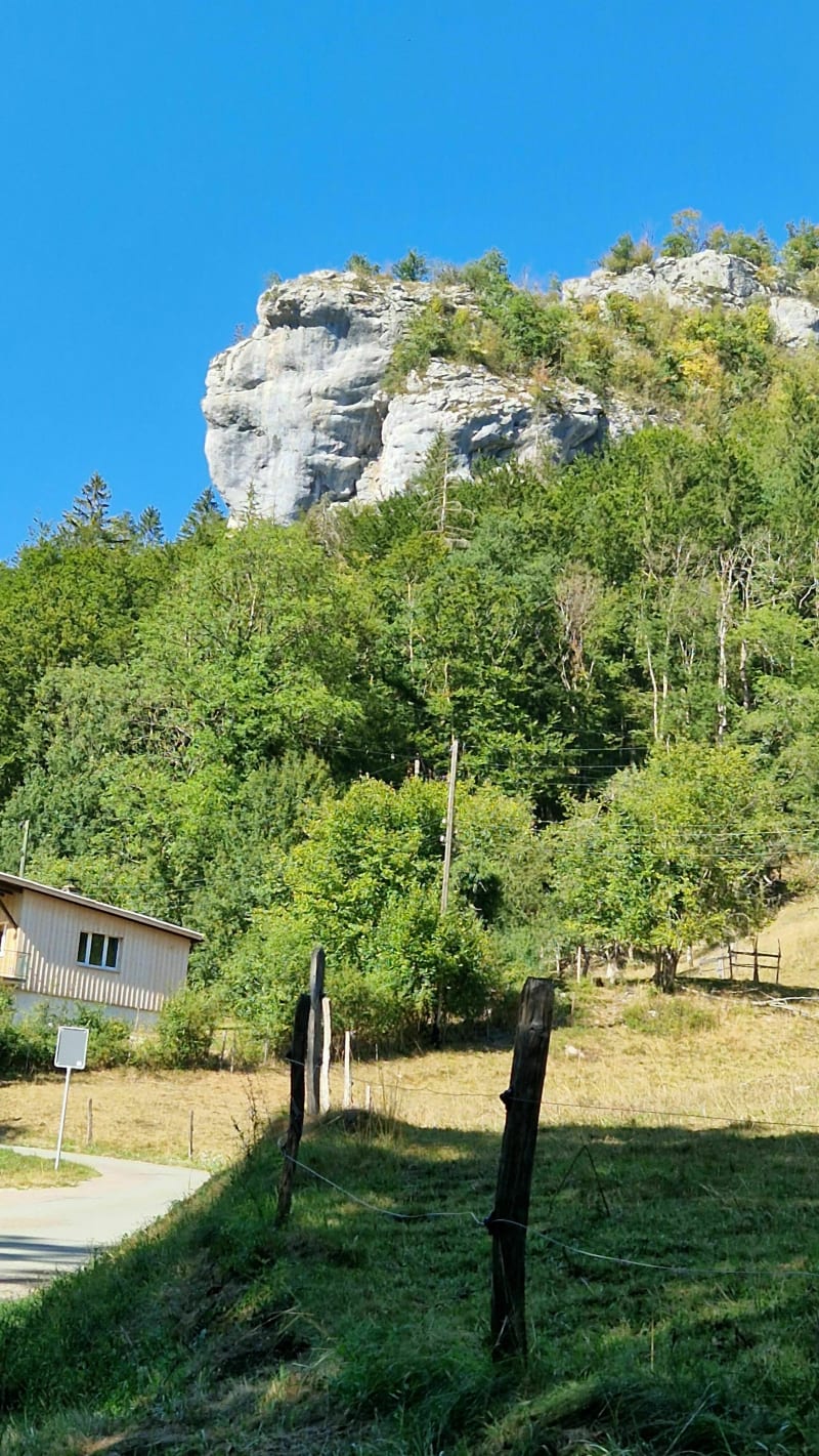 Tête du singe à Goumois - Goumois