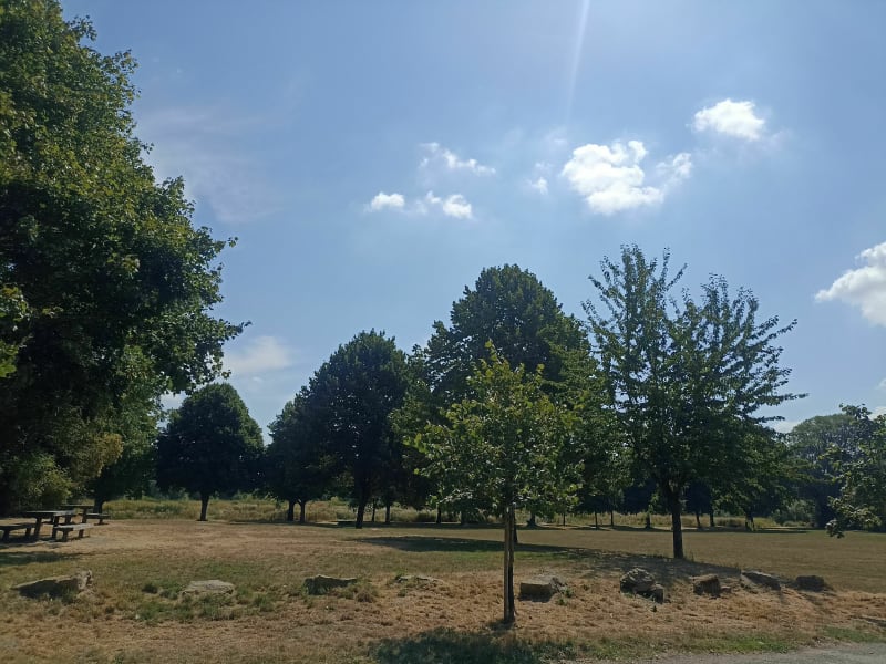 De Harnes à Noyelles en longeant la Souchez - Harnes