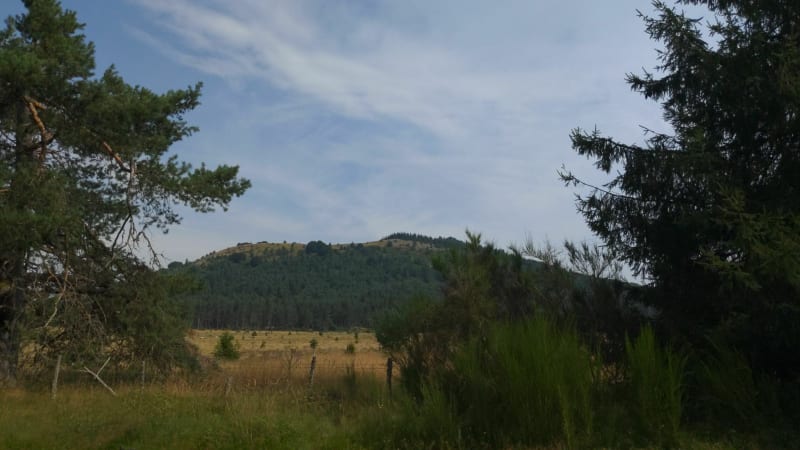 Wandelen in Puy des Gouttes. - Orcines