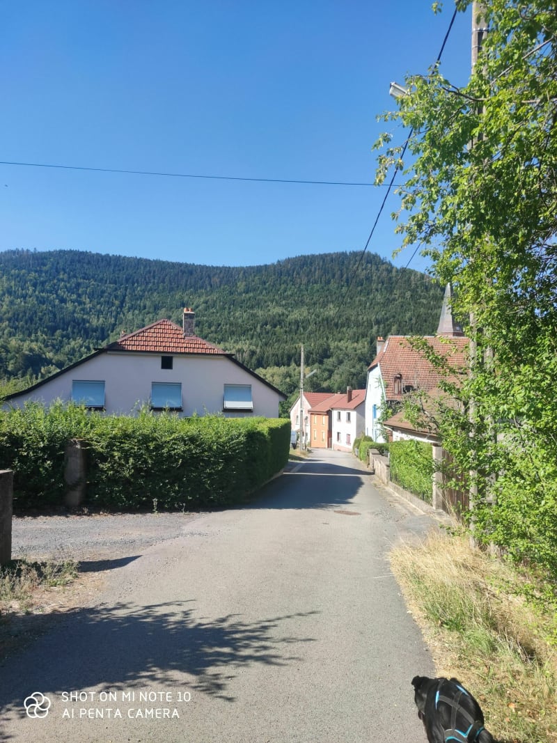 Balade familiale mi forêt mi voie verte - Luvigny