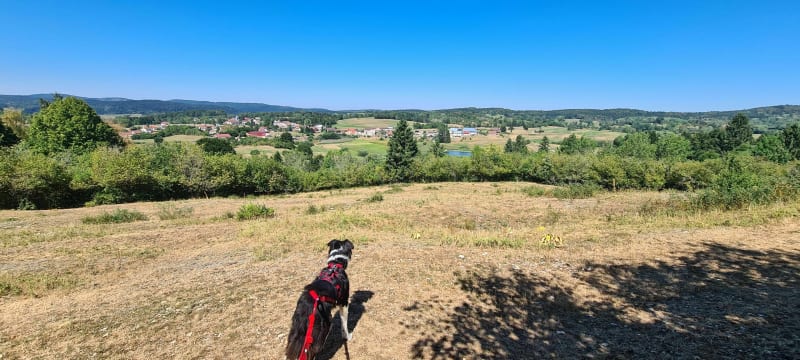 Petit tour du lac de fort du plasne - Fort-du-Plasne