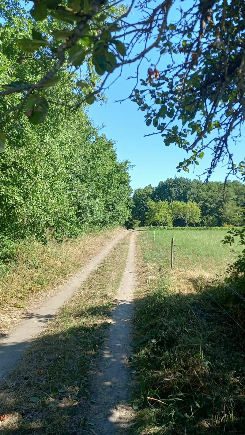 Jolie balade dans la campagne de Thenay - Thenay
