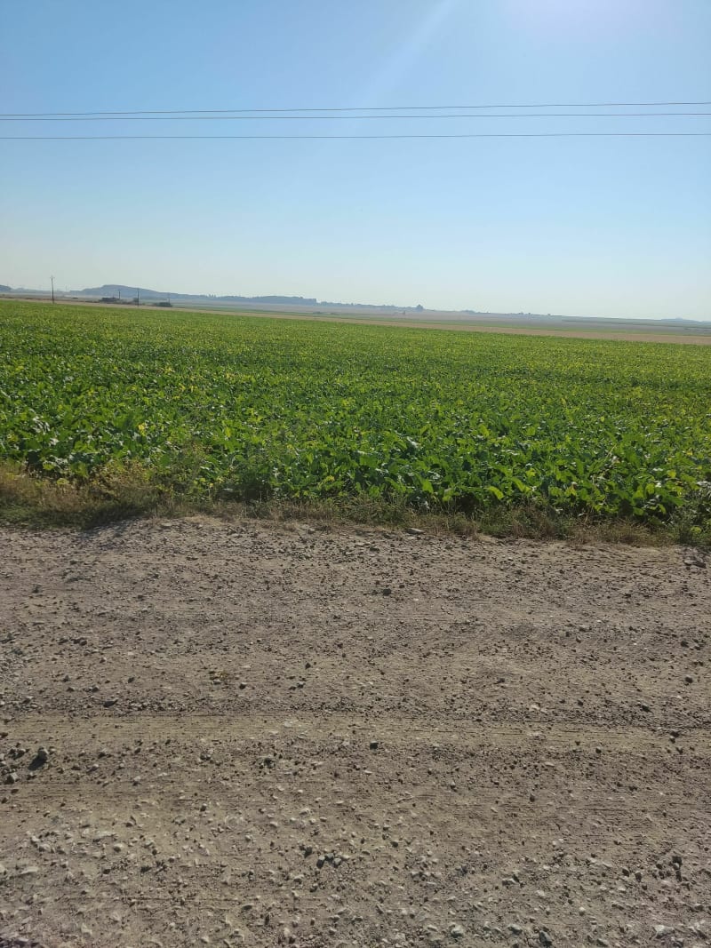 Sortie campagne de VERMELLES - Vermelles