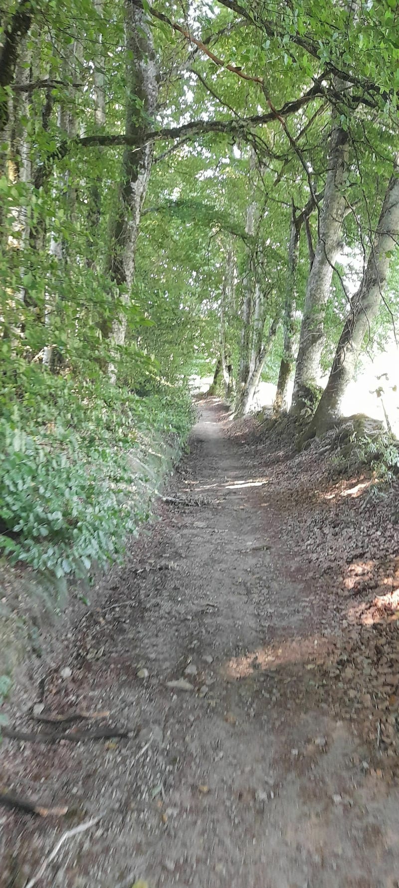 La boucle de Bouloc sur le Plateau du Lévézou - Salles-Curan