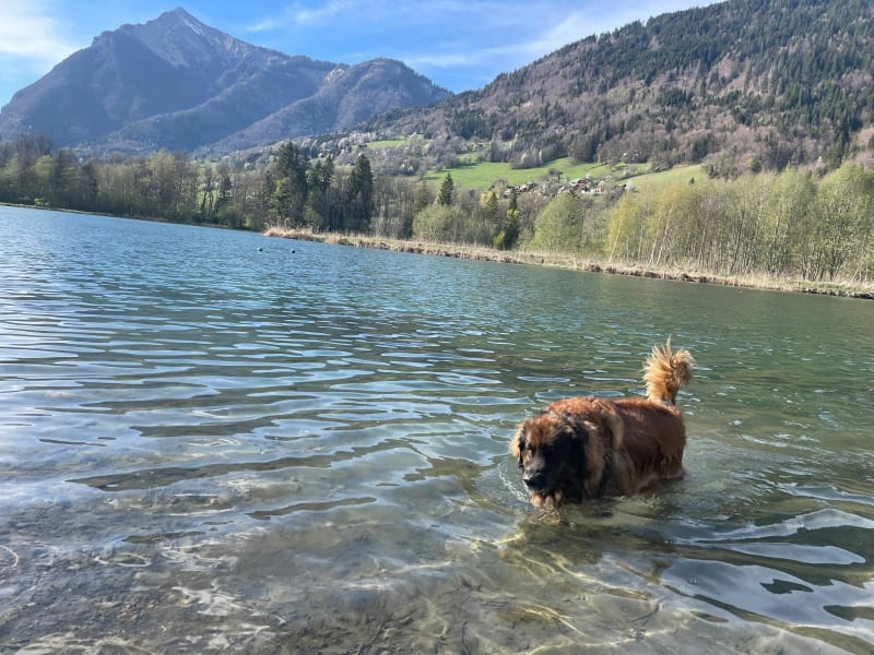 Verdevant-Petit tour au lac du Vernet - Taninges