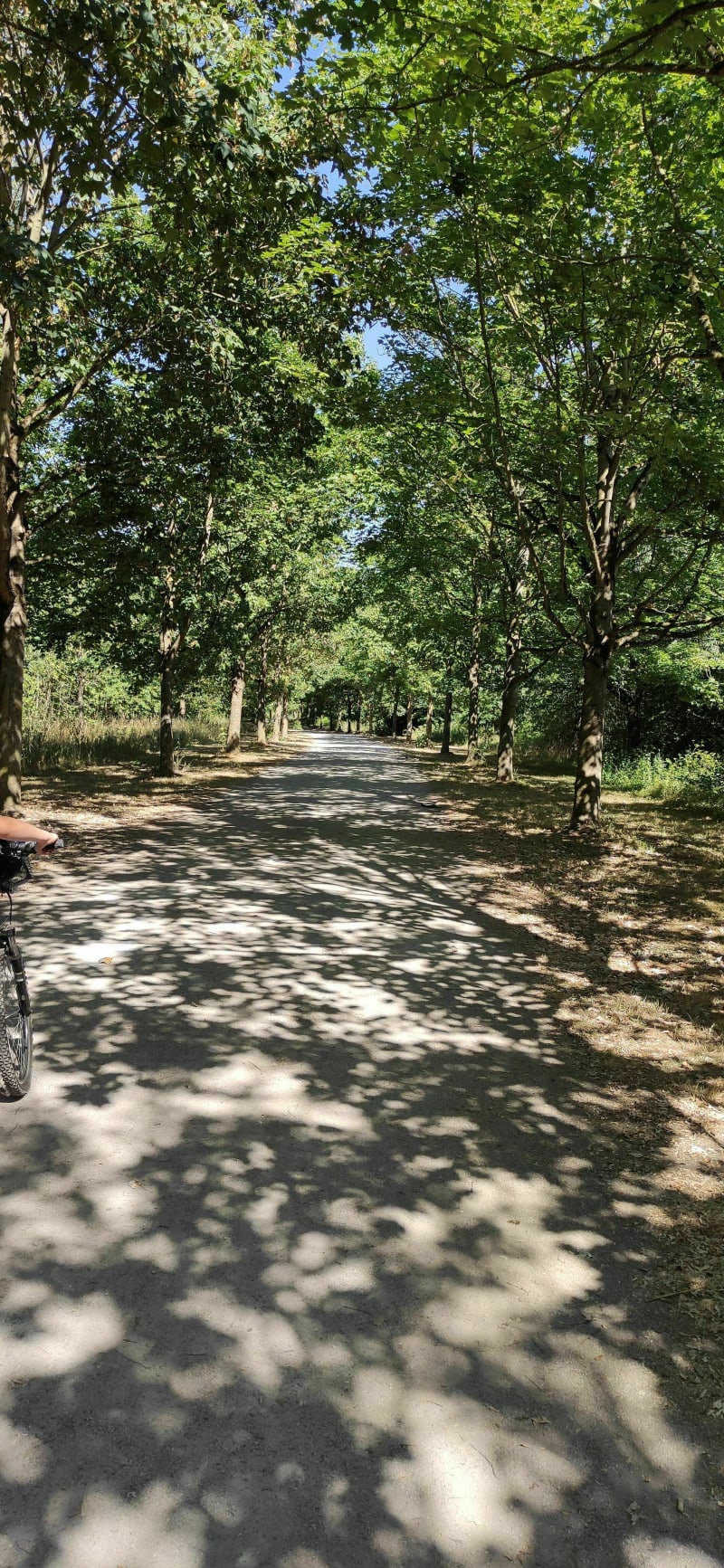 Deûle Park in Wavrin met kinderen op de fiets - Wavrin
