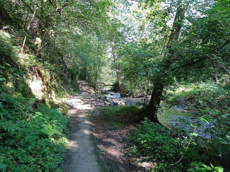 De Roche à Saint Victor - Roche-la-Molière