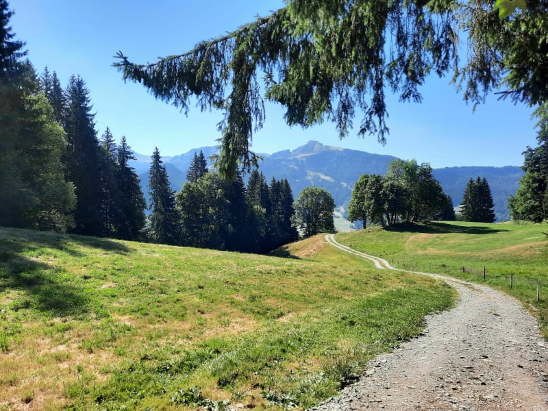 La Tête du Torraz depuis Reon d'en haut - Praz-sur-Arly