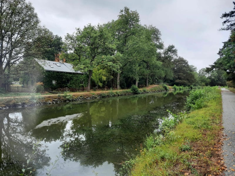Les marais de blanche Noë - Nort-sur-Erdre