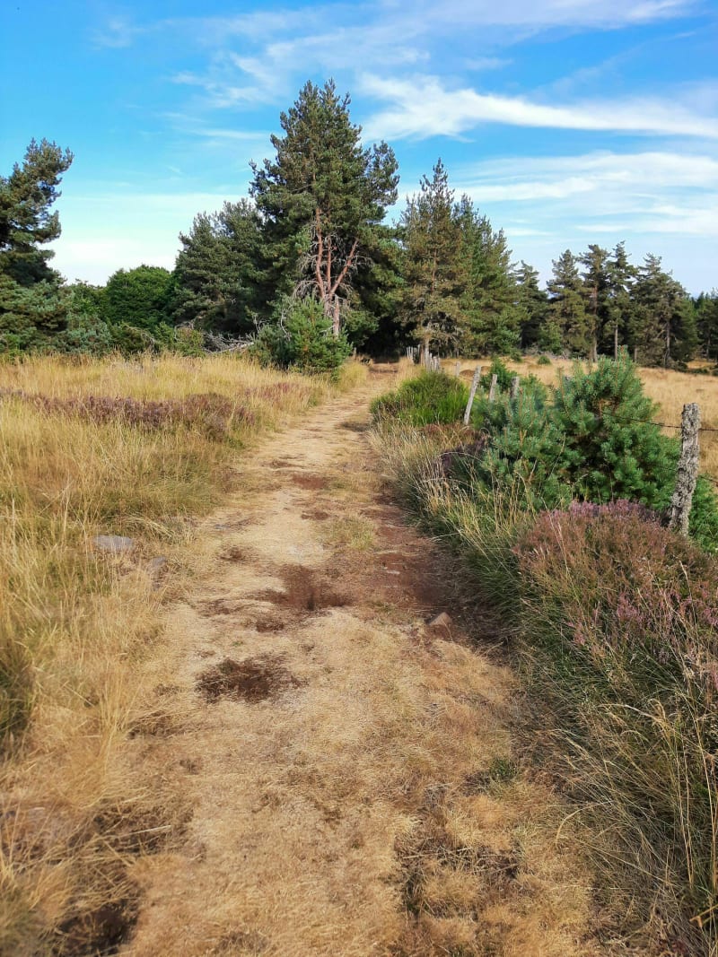 Grand tour de la Pinatelle de Fortuniès à VTT - Dienne