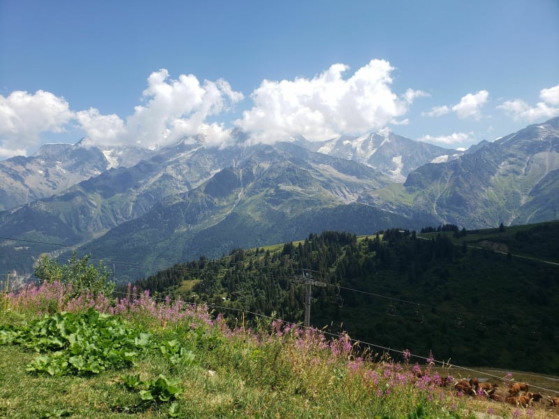 L'Alpage des Besoëns depuis Montjoie - Les Contamines-Montjoie