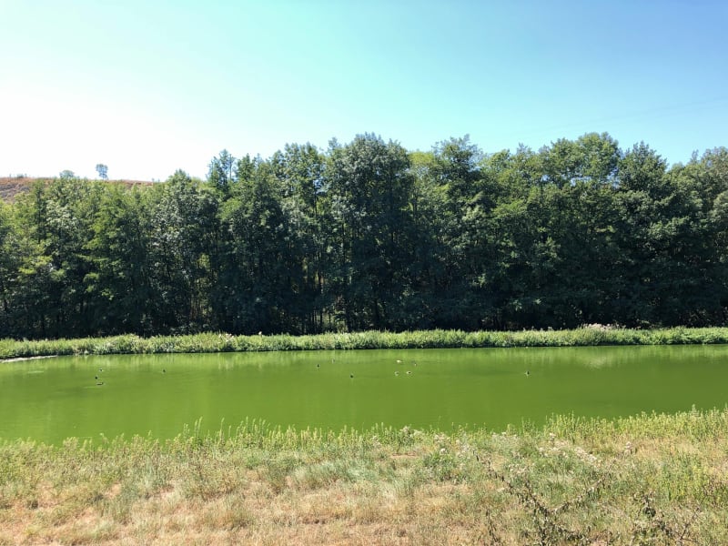 Voie verte Château Pierreclos- la Roche Vineuse -Cluny - La Roche-Vineuse