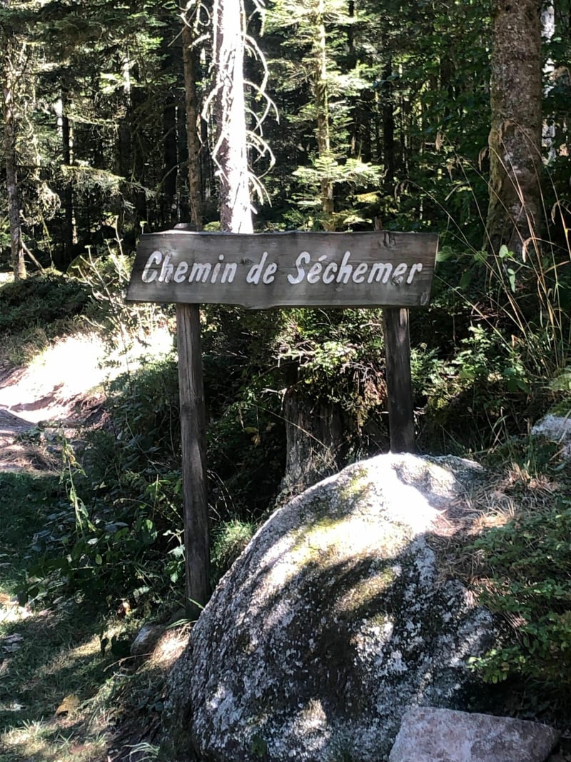 Aller retour sur le chemin de Sechemer à là Bresse - La Bresse