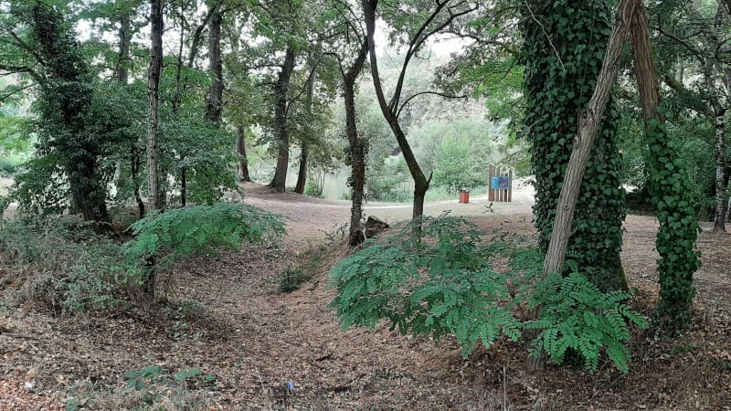 Entre chênes, châtaigniers et maïs - Saint-Pierre-du-Mont
