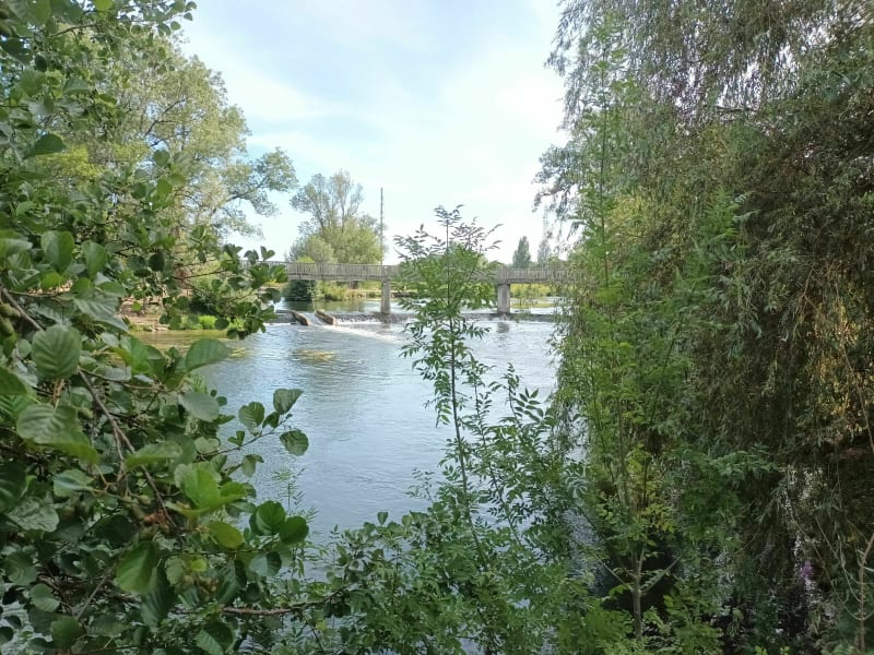 Entre deux ponts à Trois Palis - Trois-Palis