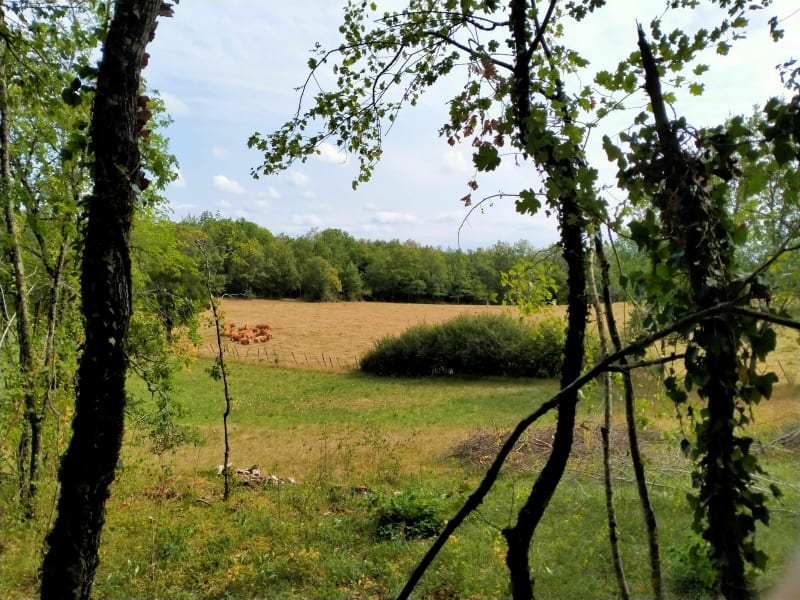 Autour de Baladou, sentier de la garrigue - Baladou