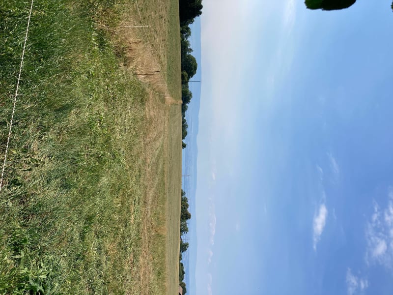 Forêt du Fayet - Saint-Paul-en-Chablais