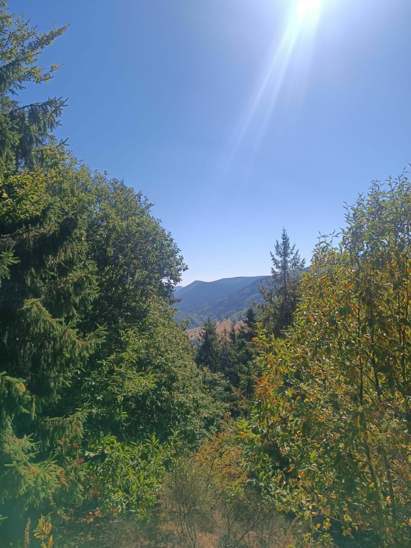 Balade famille au col d'Urbeis - Lubine