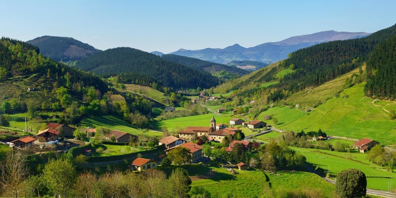 Courses des bergers - Saint-Étienne-de-Baïgorry