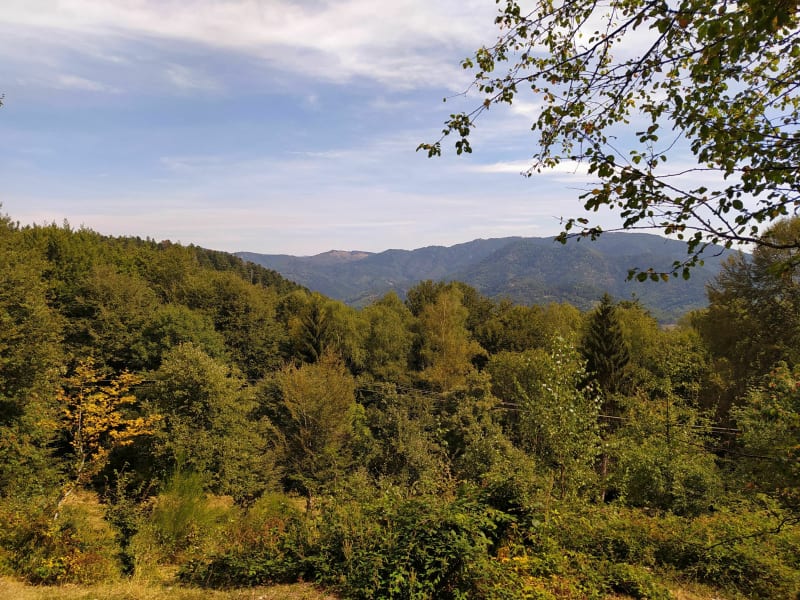 Balade à la Ferme auberge du Entzenbach et lac de Lachtelweiher - Masevaux-Niederbruck