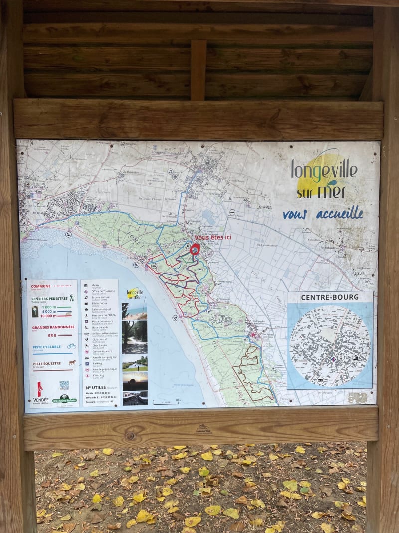 Entre dunes et pins - Le Rocher - Longeville-sur-Mer