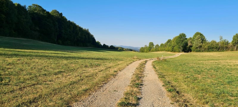 Les Chalesmes - Les Planches-en-Montagne