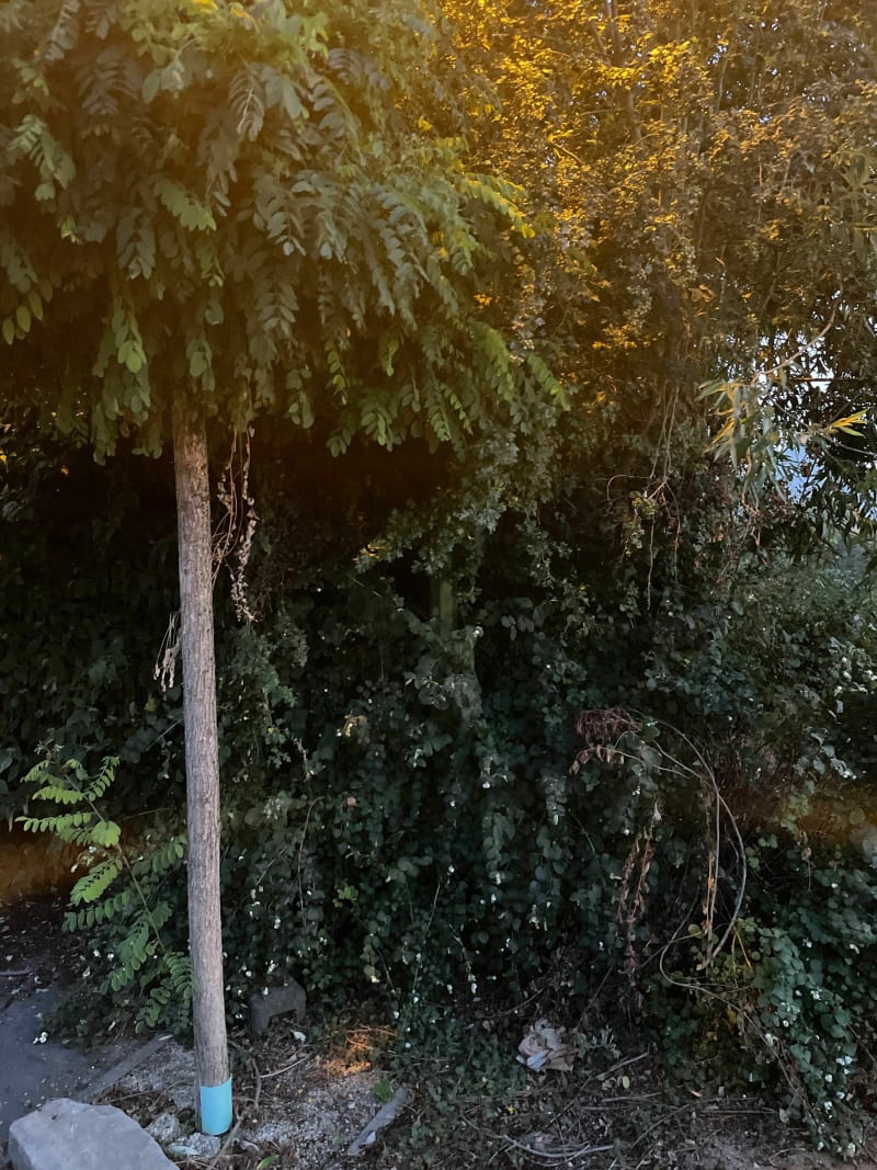 Balade en campagne Lensoise - Bois-Bernard