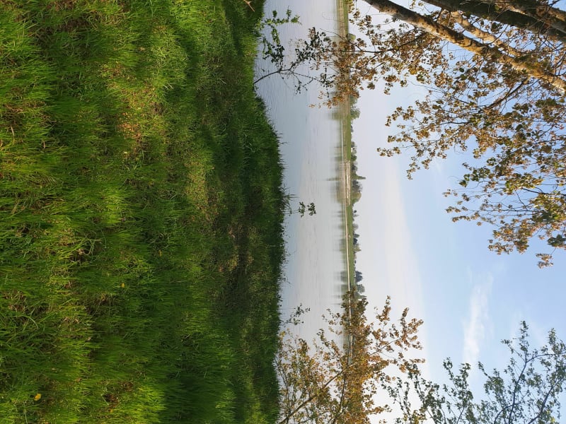 Balade entre l'Authion et la Loire - Les Ponts-de-Cé