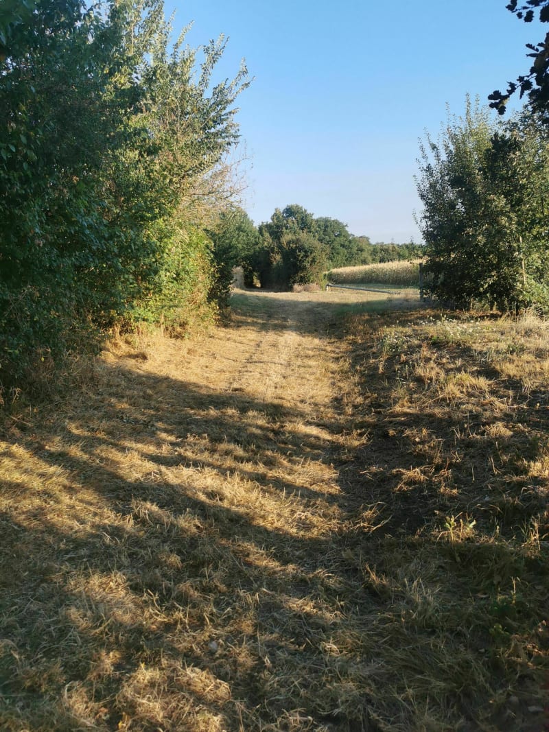 Balade matinale à Mauvezin - Mauvezin