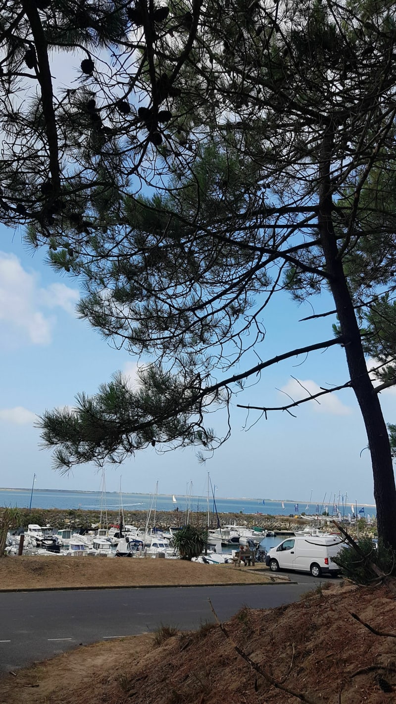 De La grande baie jusqu'au Club Med de la Palmyre - Les Mathes