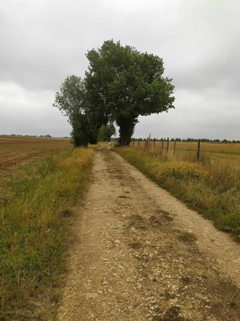 Balade entre Mougon et Montaillon - Aigondigné