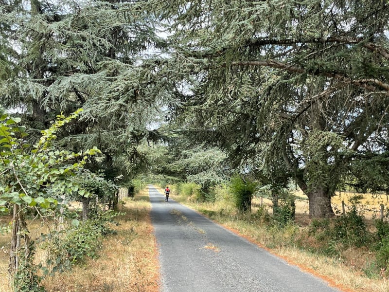 Circuit des Plateaux à VTT - Damiatte