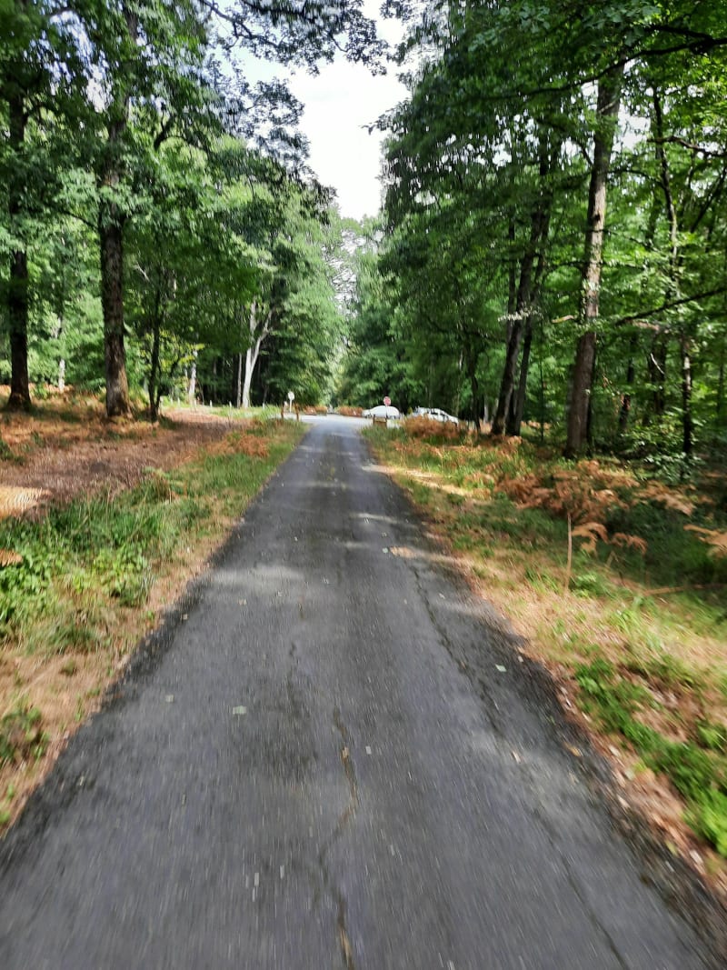 Forêt de Vouillé à Vtt - Vouillé