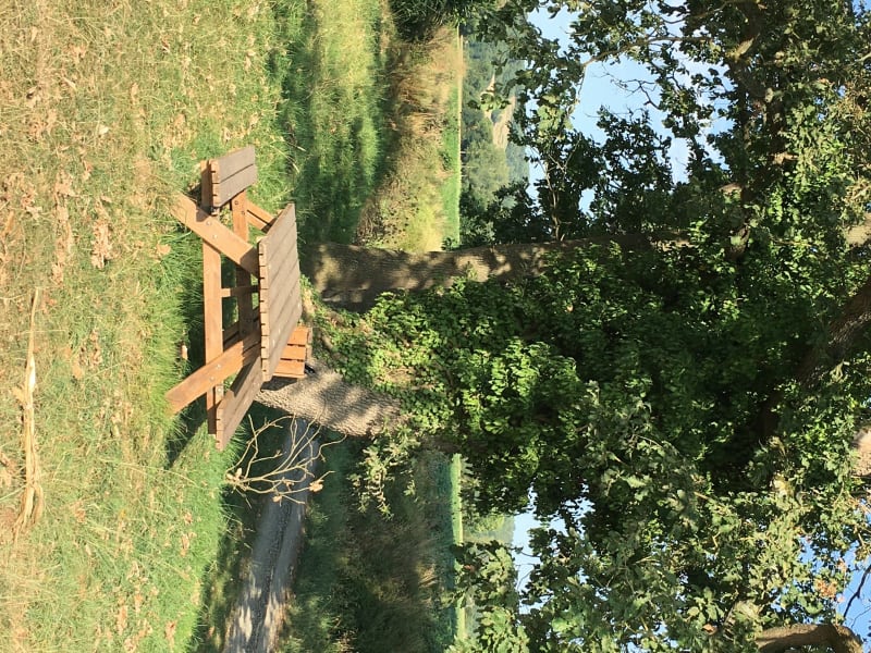 Balade à pied ou en VTT dans la forêt d’HAGET - Haget