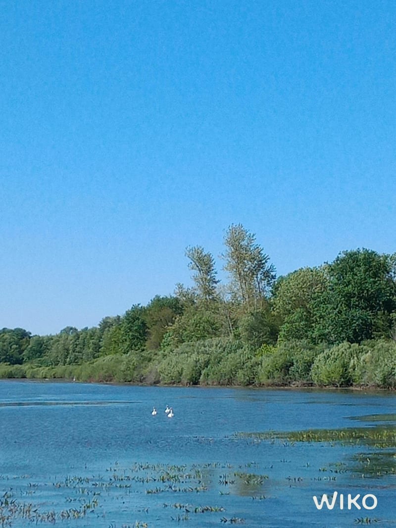 Grande écluse de Réchicourt et balade le long du canal. - Tanconville