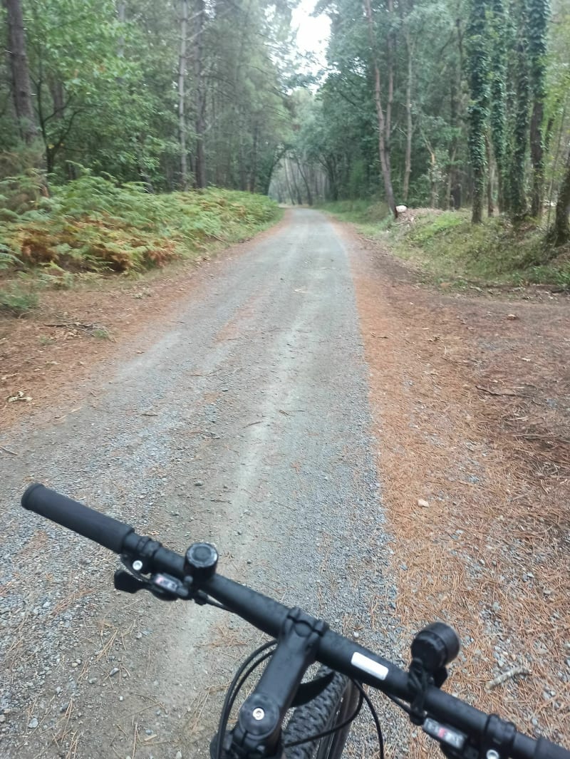 Chemin et forêt à La Fontaine Saint Martin - La Fontaine-Saint-Martin
