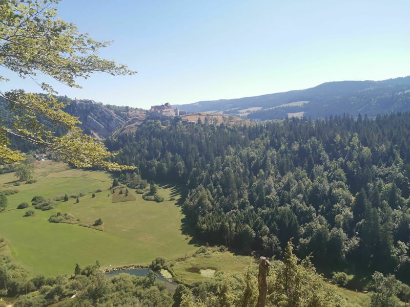 Forêt de pontarlier avec point de vue Grange - Pontarlier