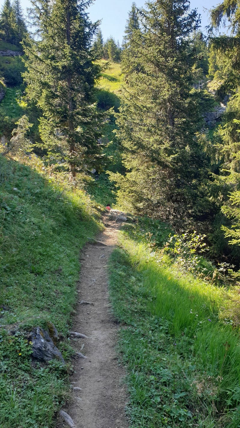Alpages de Morzinette par les Sutes - Morzine
