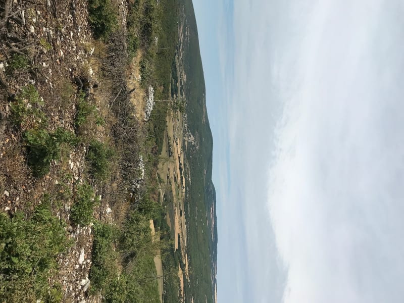 Belle balade sur les hauteurs du parc naturel du Lubéron - Montsalier
