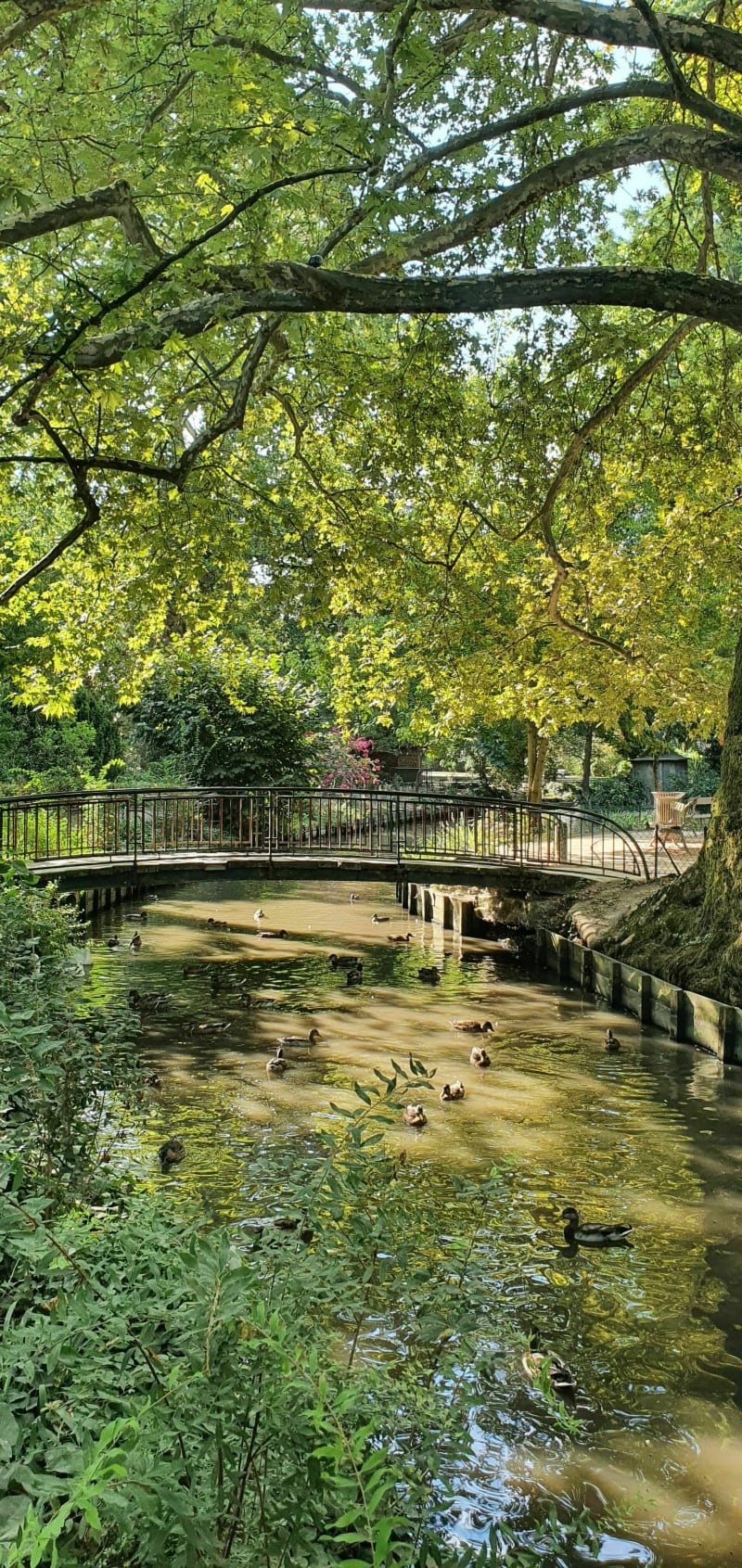 Balade bucolique à la fraîcheur de l'été - parcs de Toulouse - Toulouse