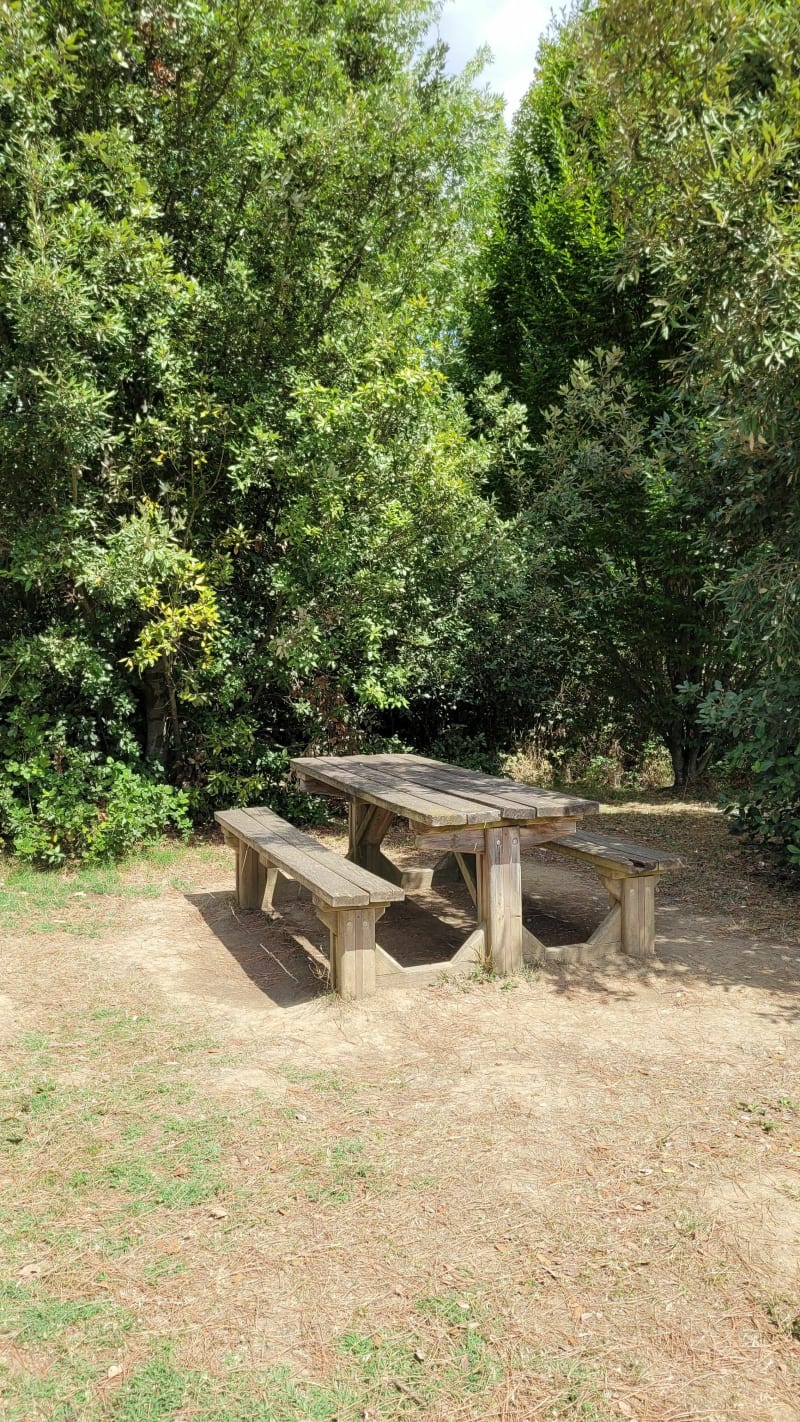 Jeux de Pibrac depuis Aussonne A/R - Cornebarrieu