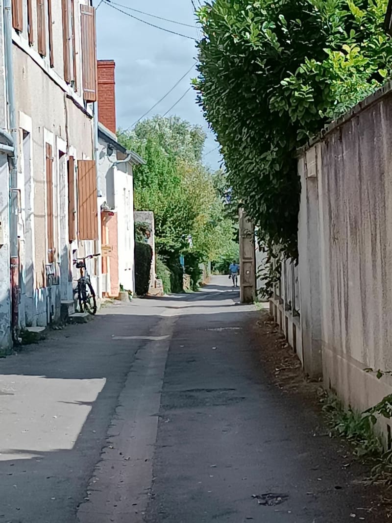 Marais de L'Yèvre et  de la Voiselle - Bourges