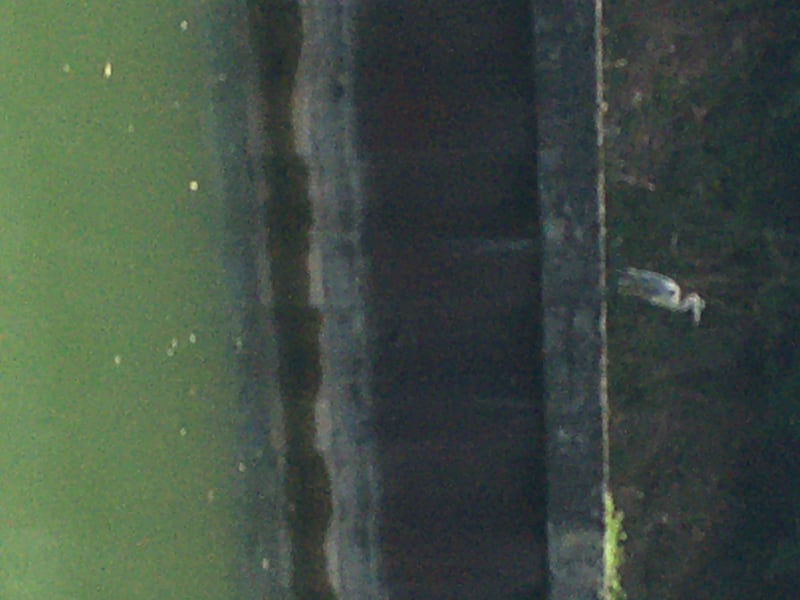 Colombière, promenade de l’Ouche, canal, lac Kir - Dijon