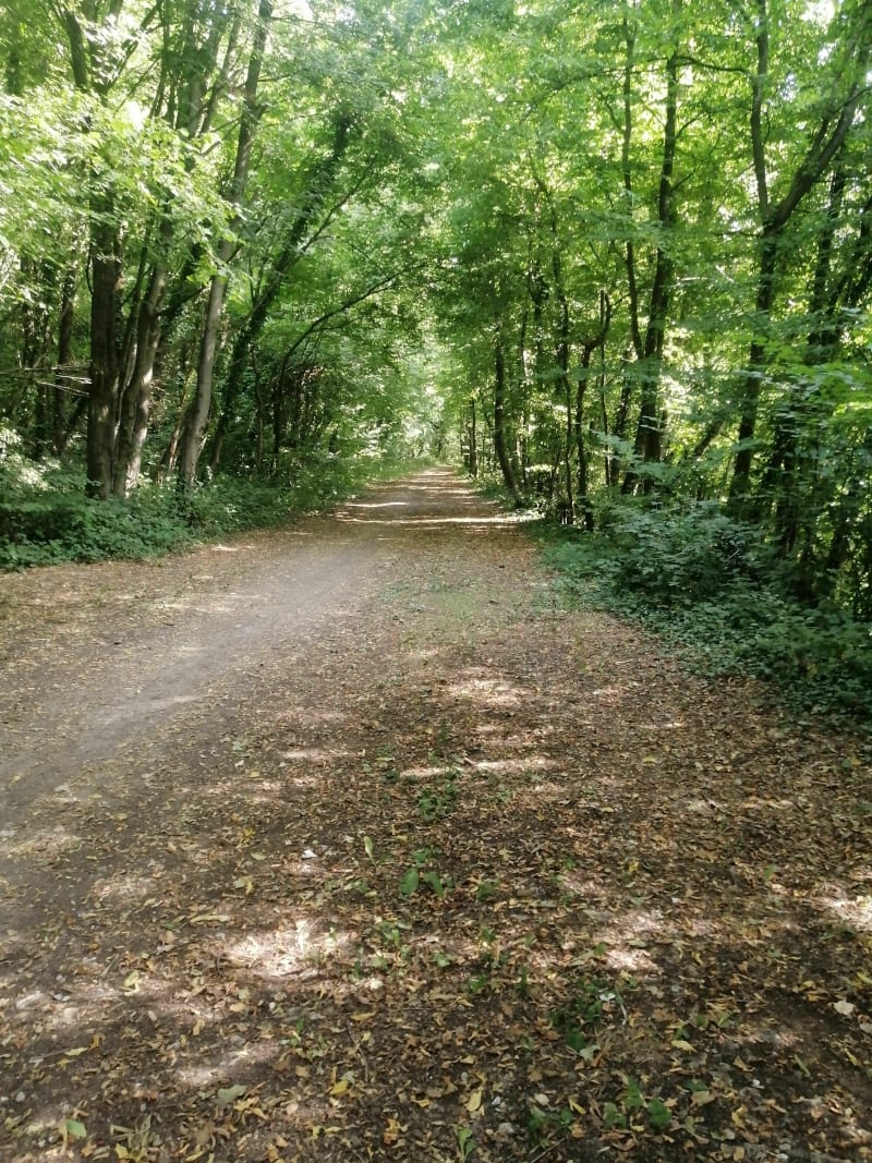 Belle balade entre villes et chemins normands - Flocques