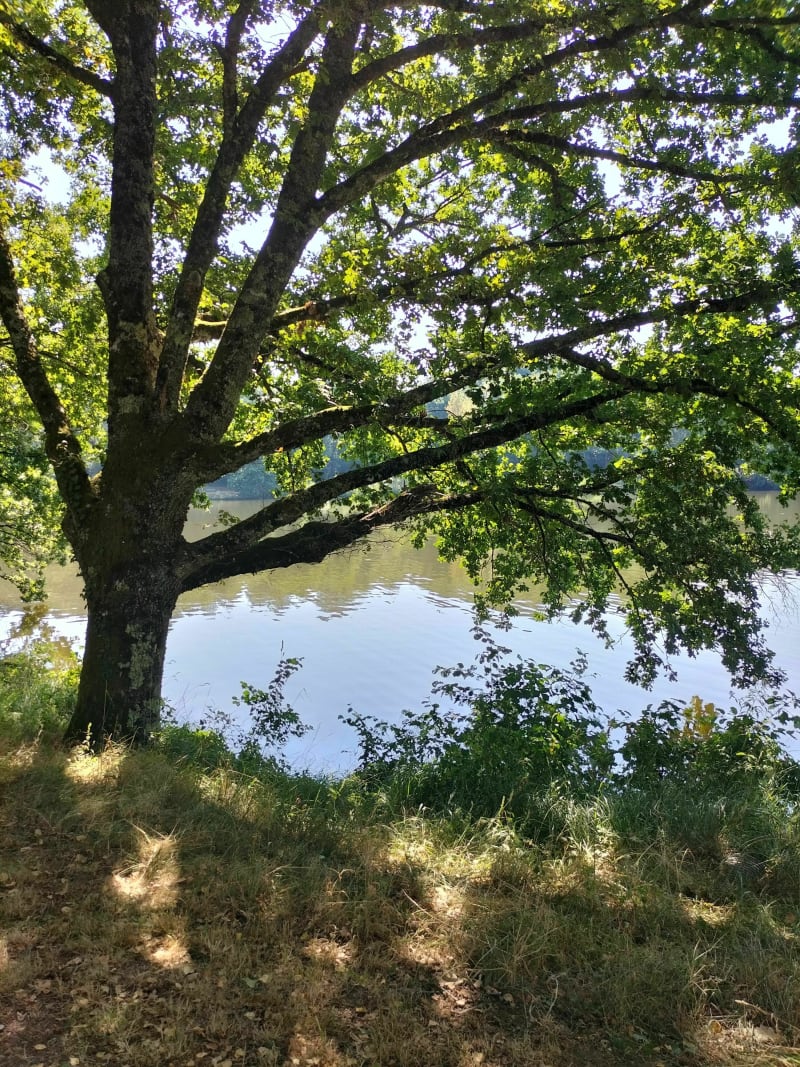 Le tour du lac de Pontcharal - Vigeois
