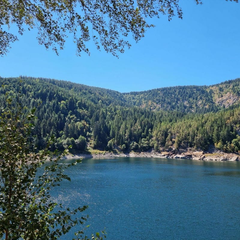 Départ Rudlin - lac blanc - lac noir dans les Vosges - Plainfaing