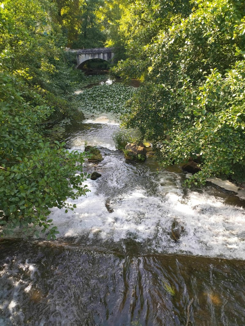 Balade autour des étangs Ecuelles - Moret-Loing-et-Orvanne