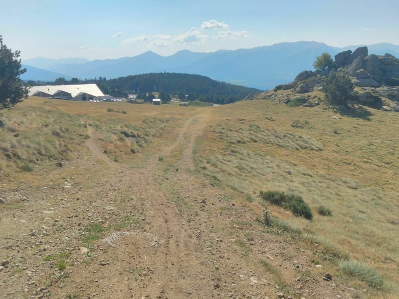 Sentier des airelles à Font-Romeu - Font-Romeu-Odeillo-Via