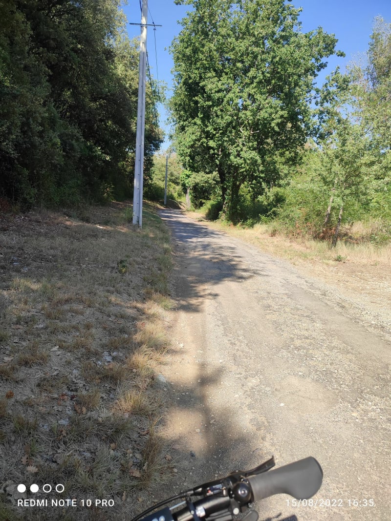 Petite balade dans les bois - Saint-Privat-des-Vieux